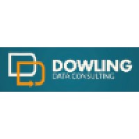 Dowling Data Consulting Logo