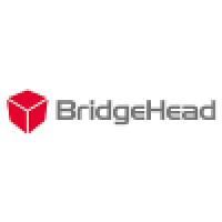 BridgeHead Software Logo