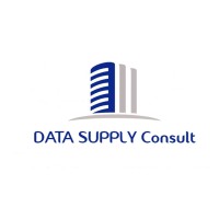 DATA SUPPLY CONSULT Logo