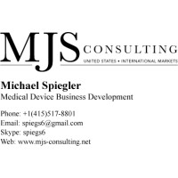 MJS Consulting Logo