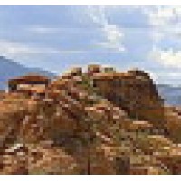 Wellness At Red Rock Logo