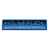 Helmi Flick Cat Photography Logo