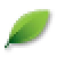 Voice Ministries Logo