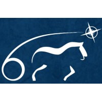 SIMSON JAMES Logo