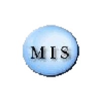 Mexican Insurance Solutions Logo