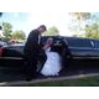 White Dove Limousine Logo