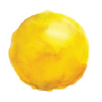CooperSurgical Logo