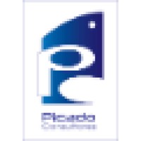 Picado Consultores Logo