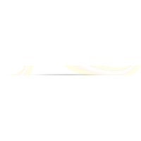 Ship Shape Cleaners Logo
