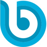 Bayport Networks, Inc. Logo