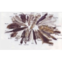 United States Fur Exchange, A Division of Palms & Company, Inc. Logo