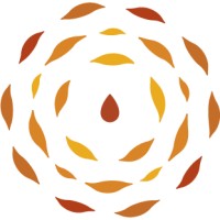Liquid Amber Tattoo Logo
