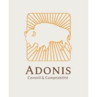 ADONIS CONSEIL Logo