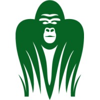Jungle Software Logo