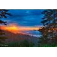 Ingram Photography Logo