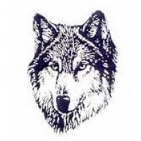 Boone Grove High School Logo