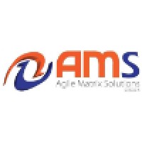 Agile Matrix Solutions Logo