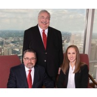 Brusniak Turner Fine LLP Logo