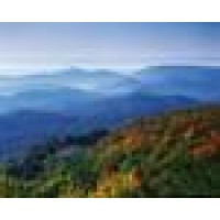 Blue Ridge Forestry Inc Logo