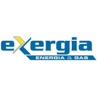 Exergia S.p.a Logo
