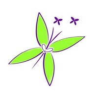 Aurora New Dawn Ltd Logo