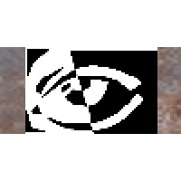 Perrysburg Family Eyecare Logo