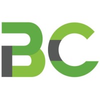 Besson Consulting, LLC Logo