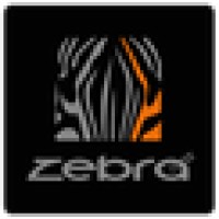 Zebra Express Logo