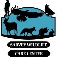 Sarvey Wildlife Care Center Logo