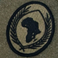 U.S. Africa Command (AFRICOM) Logo