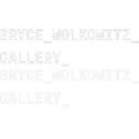 Bryce Wolkowitz Gallery Logo
