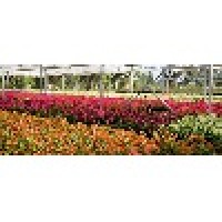 Topiary Creations Logo