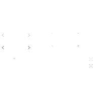 Alaska Public Entity Insurance Logo