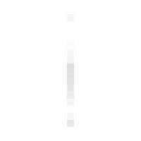 Lang Publishing Company Logo
