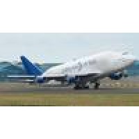 Servicargo Miami Logo