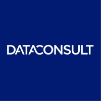 Data Consult Logo