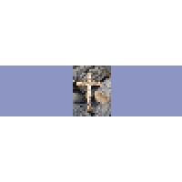 Bethlehem Christian Families Logo