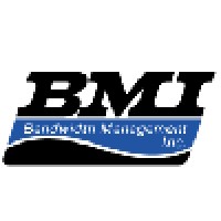 Bmi Electric Logo
