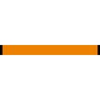Duck To Swan Logo