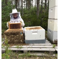 Løland Gård AS Logo