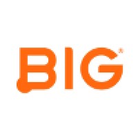 Business Instincts Group Logo