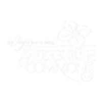 Sherburne Commons Inc Logo