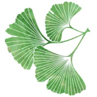 Mukilteo Natural Health Clinic Logo