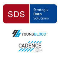 YoungBlood Consultants Logo