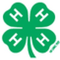 Youth Development Of America Logo