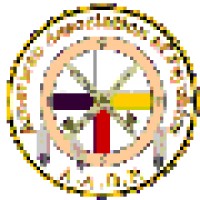Professional Psychic Logo