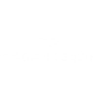 Rock Steady Productions Logo