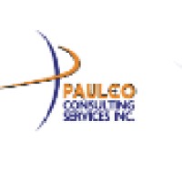 PCSI Consulting Services Logo