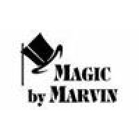 Balloon Magic Logo