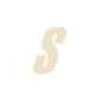 Southern Shingles Lp Logo